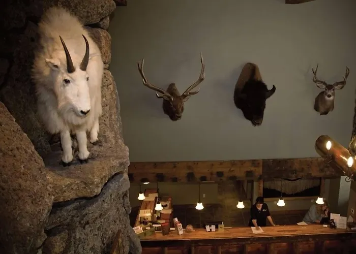 Pool Villa: Three Bear Lodge